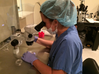 Embryologist at microscope performing assisted hatching in the laboratory | Tennessee Reproductive Medicine | Chattanooga