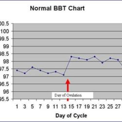 Normal BBT Chart ovulation testing | Tennessee Reproductive Medicine | Chattanooga | Fertility Testing