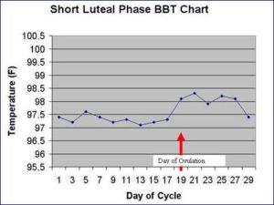 Length of luteal phase (time from ovulation day (LH surge þ1 day