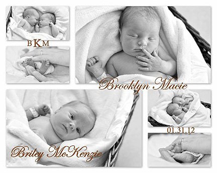 The Kibbles' birth announcement