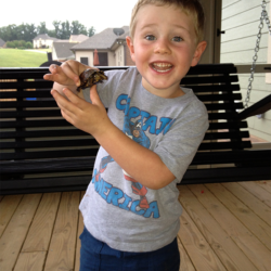 young boy with turtle
