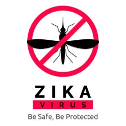 Zika virus and your fertility and pregnancy planning