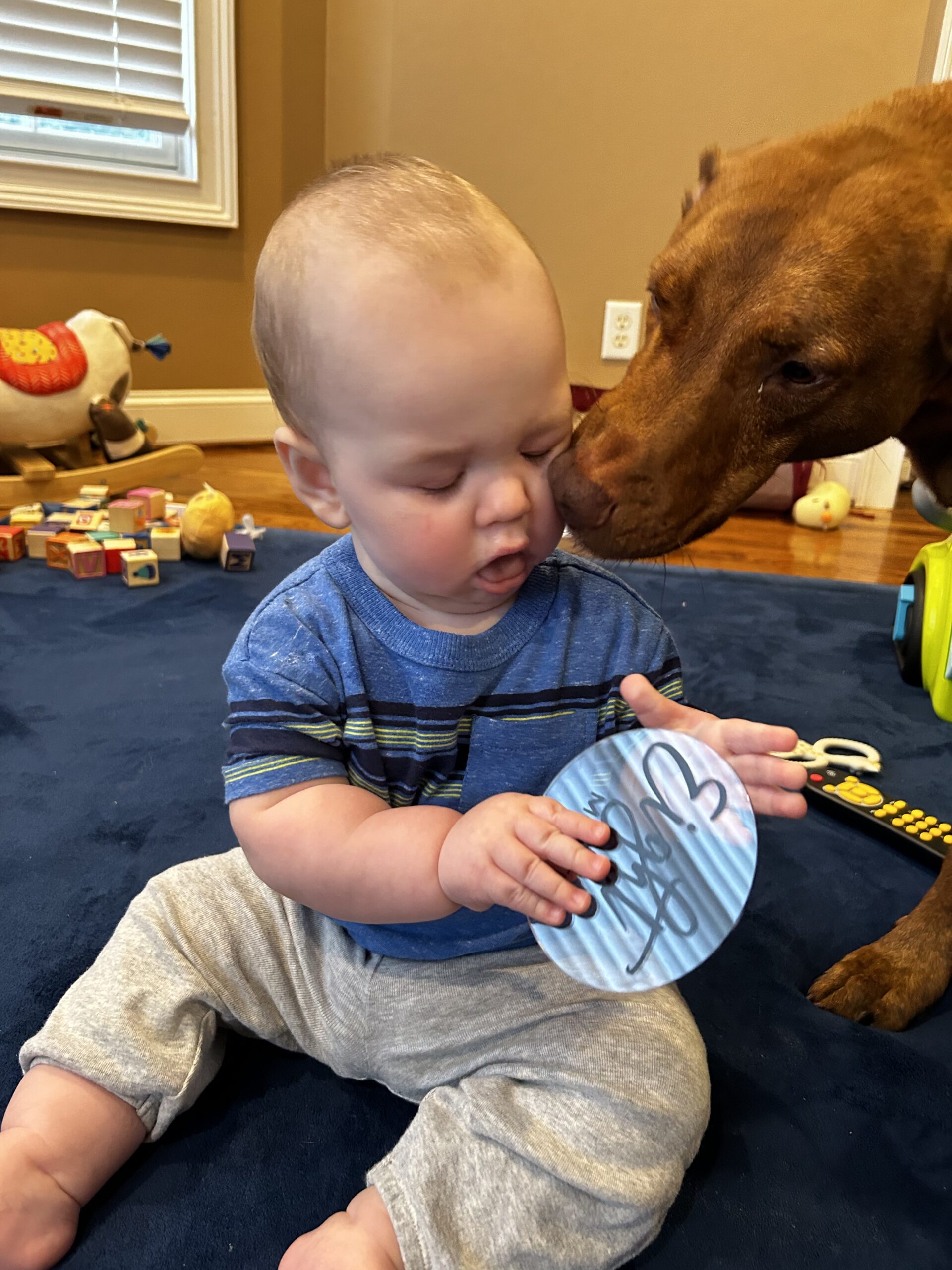 Baby Thomas playing with his dog | Tennessee Reproductive Medicine | Chattanooga